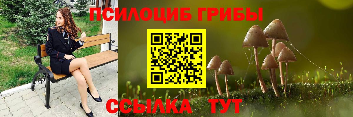 Грязи  купить  цена  Вход с VPN  Псилоцибиновые грибы GOLDEN TEACHER 