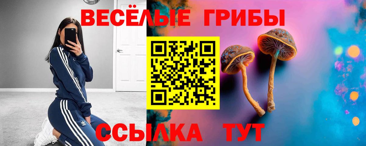 Галлюциногенные грибы Cubensis Грязи